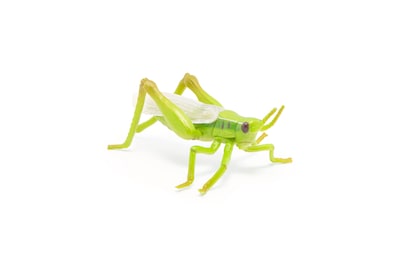 Foto 4 | Figura Papo Wild Animal Kingdom Grasshopper 50268- Venta Internacional