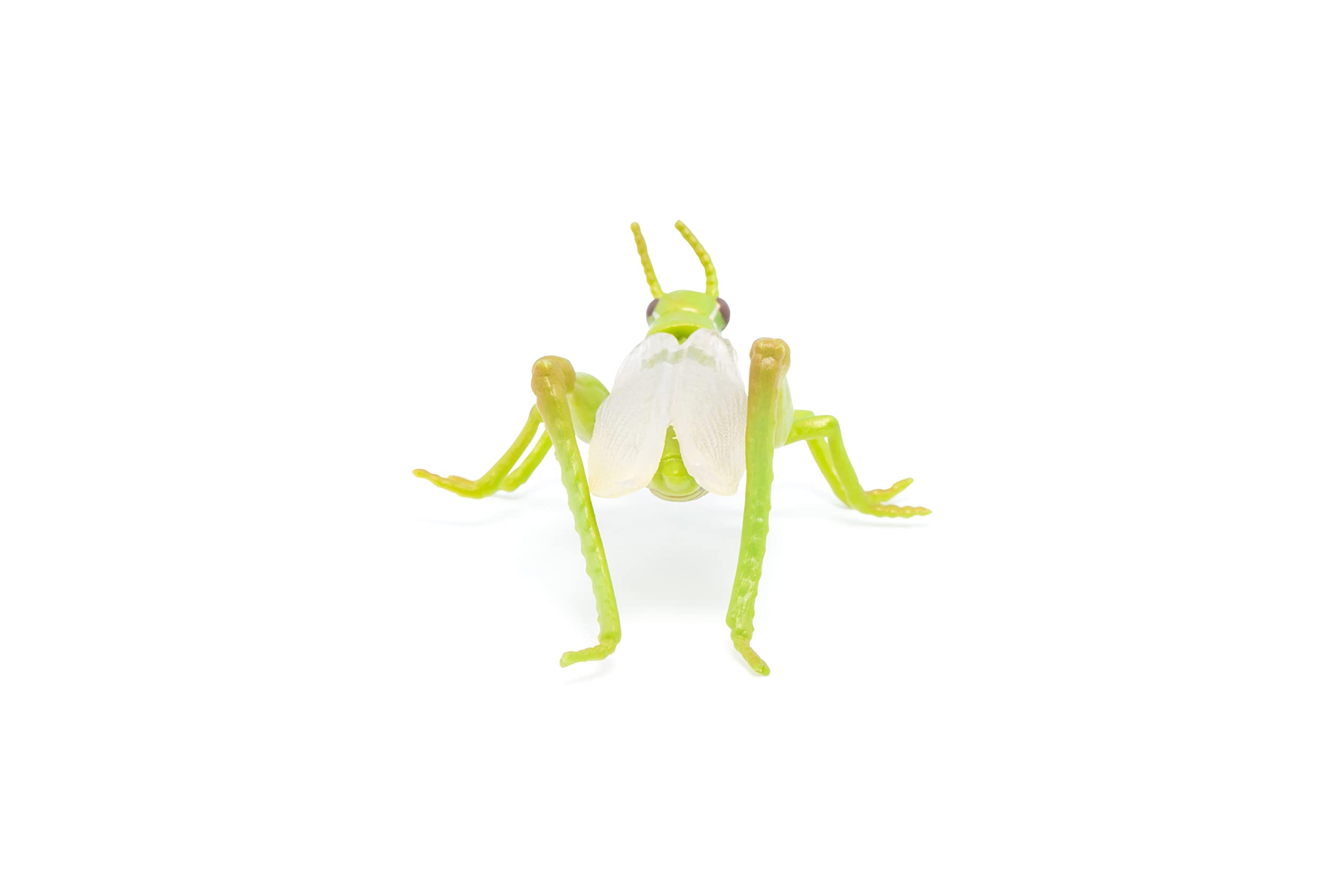 Foto 7 pulgar | Figura Papo Wild Animal Kingdom Grasshopper 50268- Venta Internacional