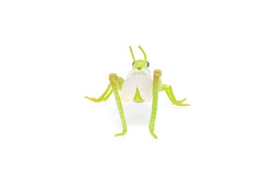 Foto 6 | Figura Papo Wild Animal Kingdom Grasshopper 50268- Venta Internacional