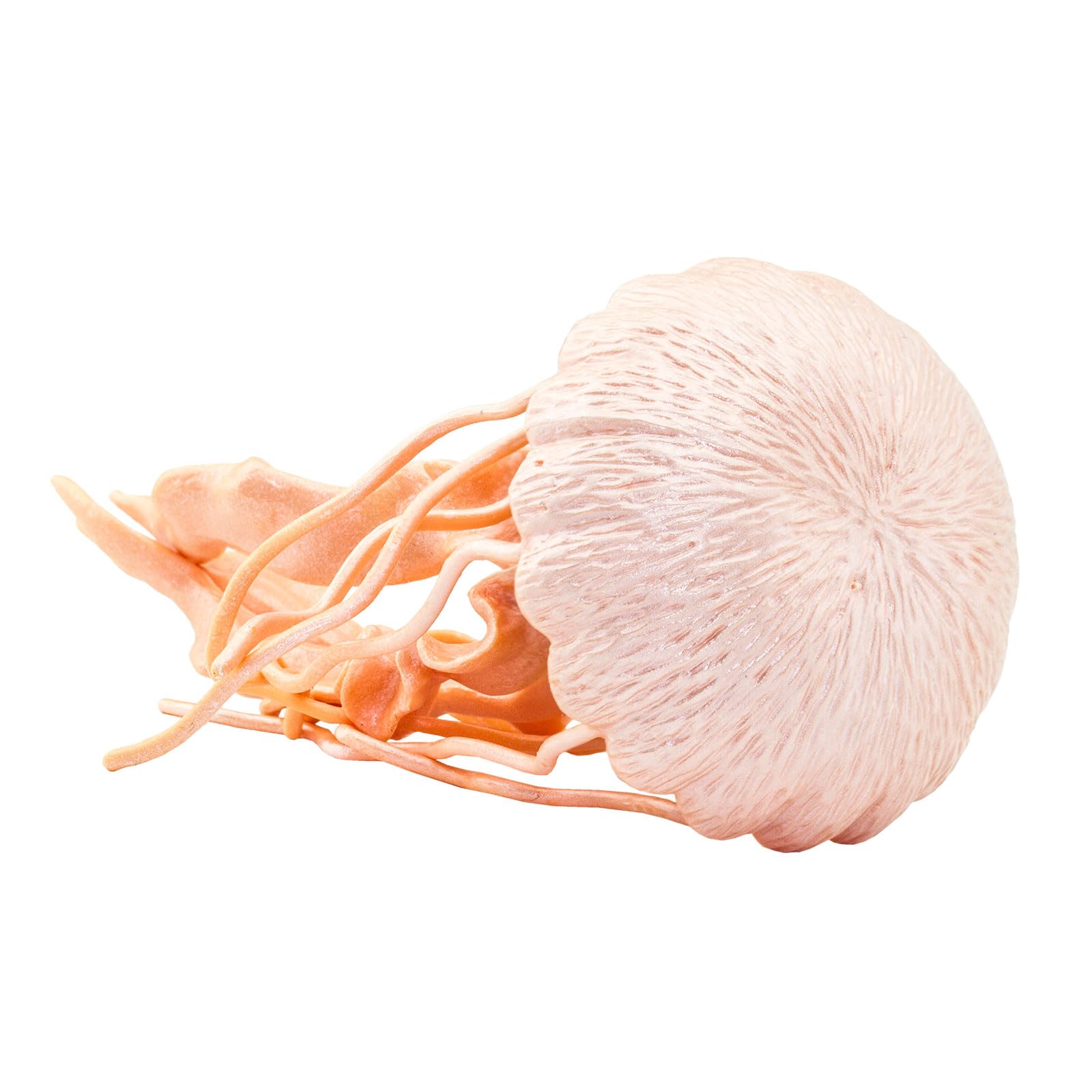Foto 4 pulgar | Figura de Medusa de Safari Ltd. de 5 cm de plástico para niños a partir de 3 años