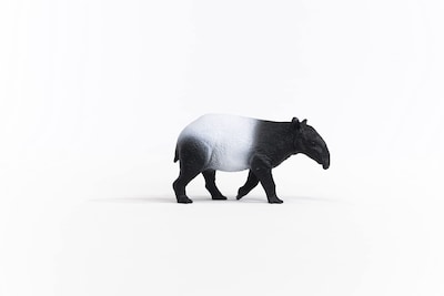 Foto 2 | Figura de Juguete Schleich Wild Life Tapir - Venta Internacional