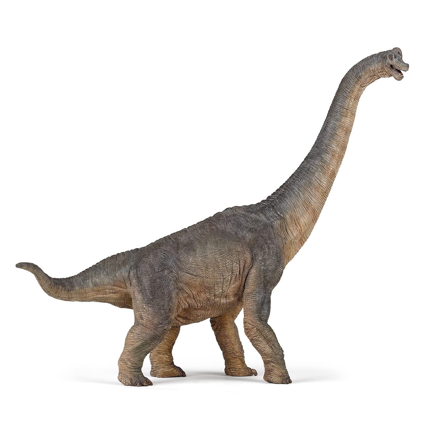 Figura Papo de Dinosaurio Braquiosaurio 31 cm de Altura - Venta Internacional