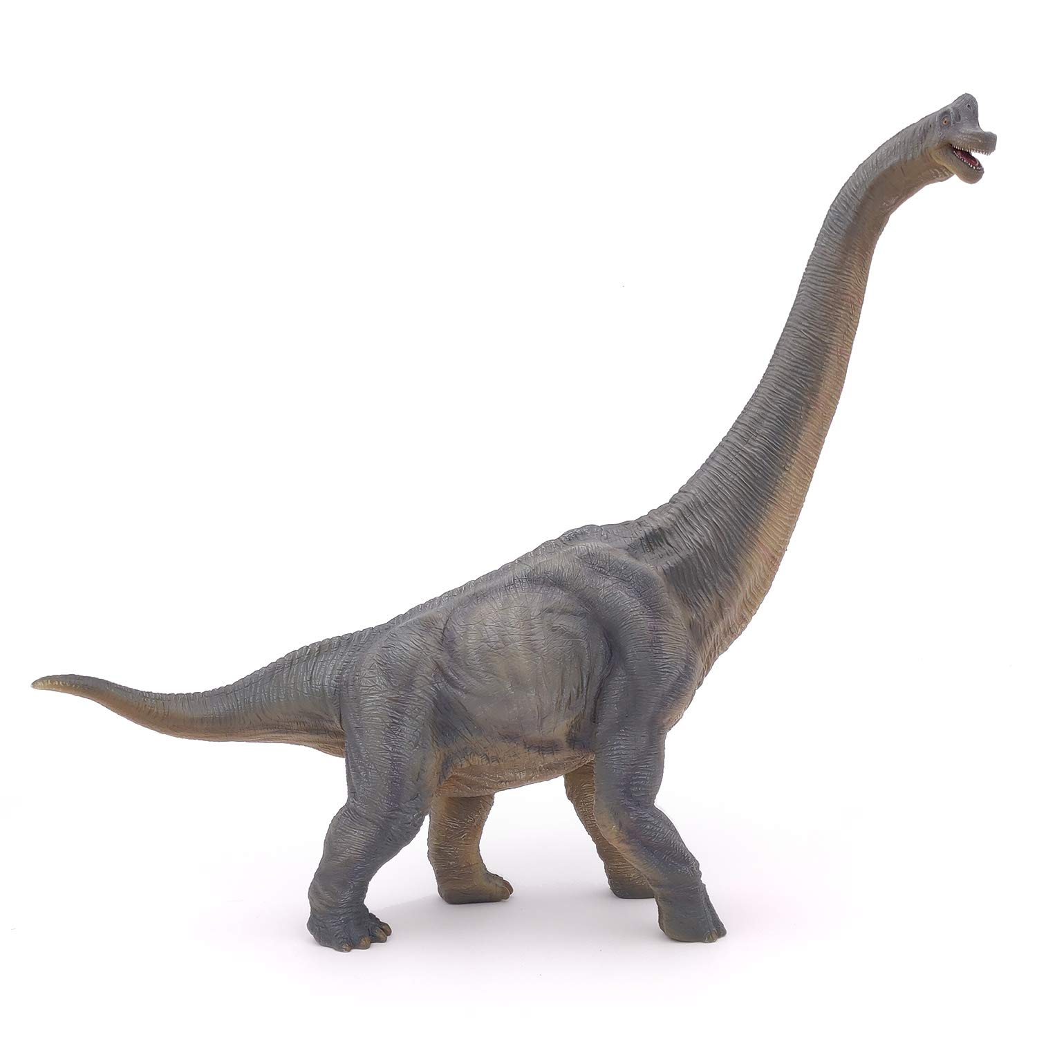 Foto 4 pulgar | Figura Papo de Dinosaurio Braquiosaurio 31 cm de Altura - Venta Internacional