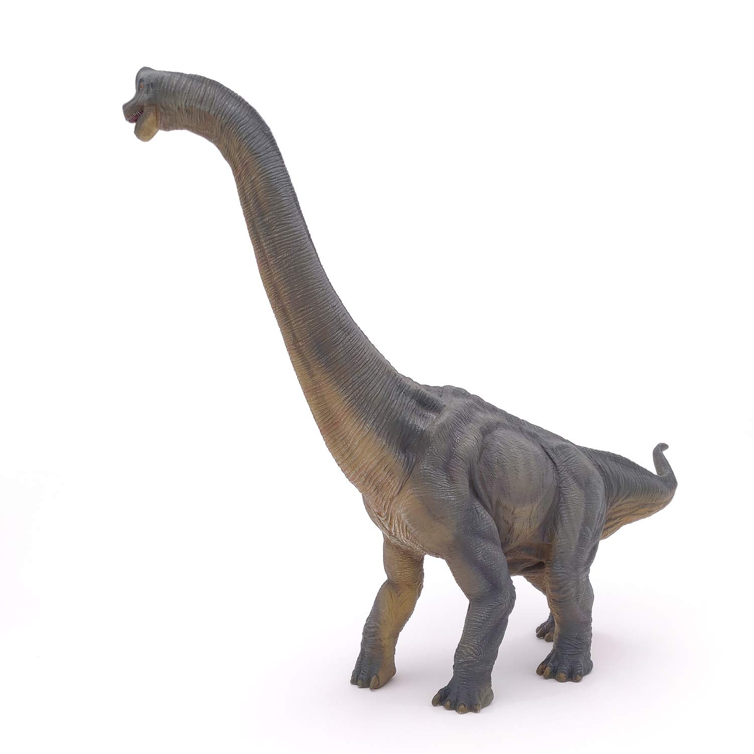 Foto 6 pulgar | Figura Papo de Dinosaurio Braquiosaurio 31 cm de Altura - Venta Internacional