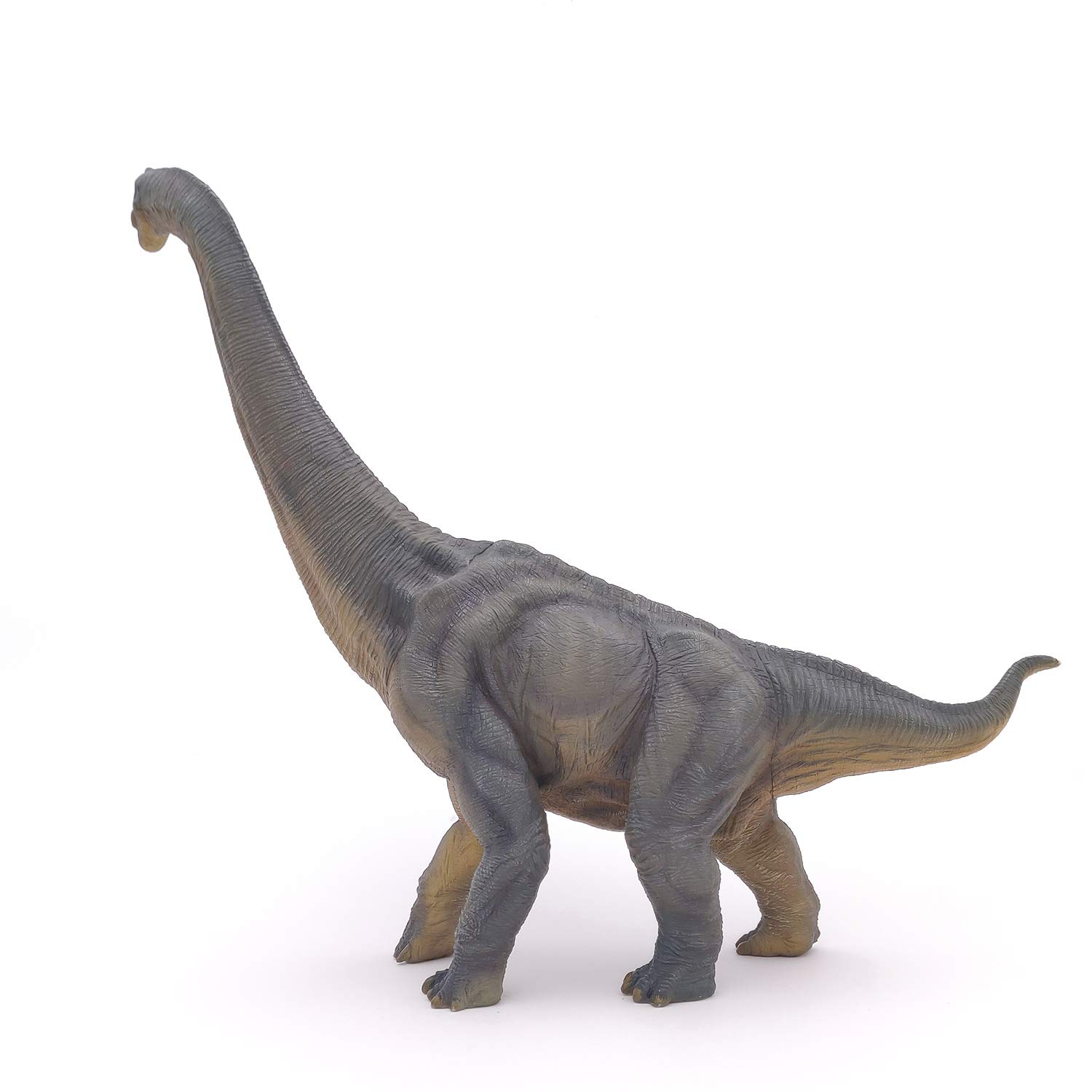 Foto 7 pulgar | Figura Papo de Dinosaurio Braquiosaurio 31 cm de Altura - Venta Internacional