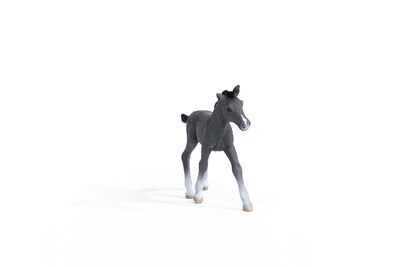 Foto 6 | Figura De Juguete Schleich Horse Club Baby Trakehner Poal De Más De 5 Años - Venta Internacional.