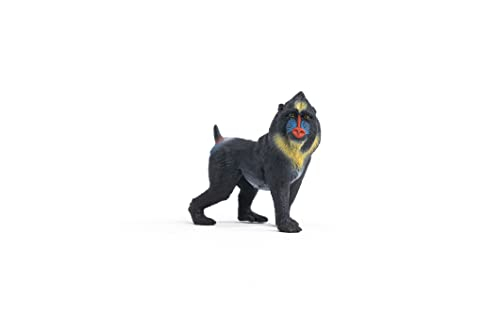 Foto 4 pulgar | Toy Schleich Mandrill Wild Life Para Niños De 3 A 8 Años - Venta Internacional.