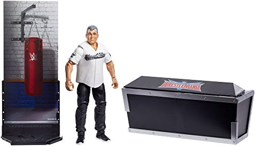 Foto 3 pulgar | Figura De Shane Mcmahon De La Colección Wwe Elite - Venta Internacional.