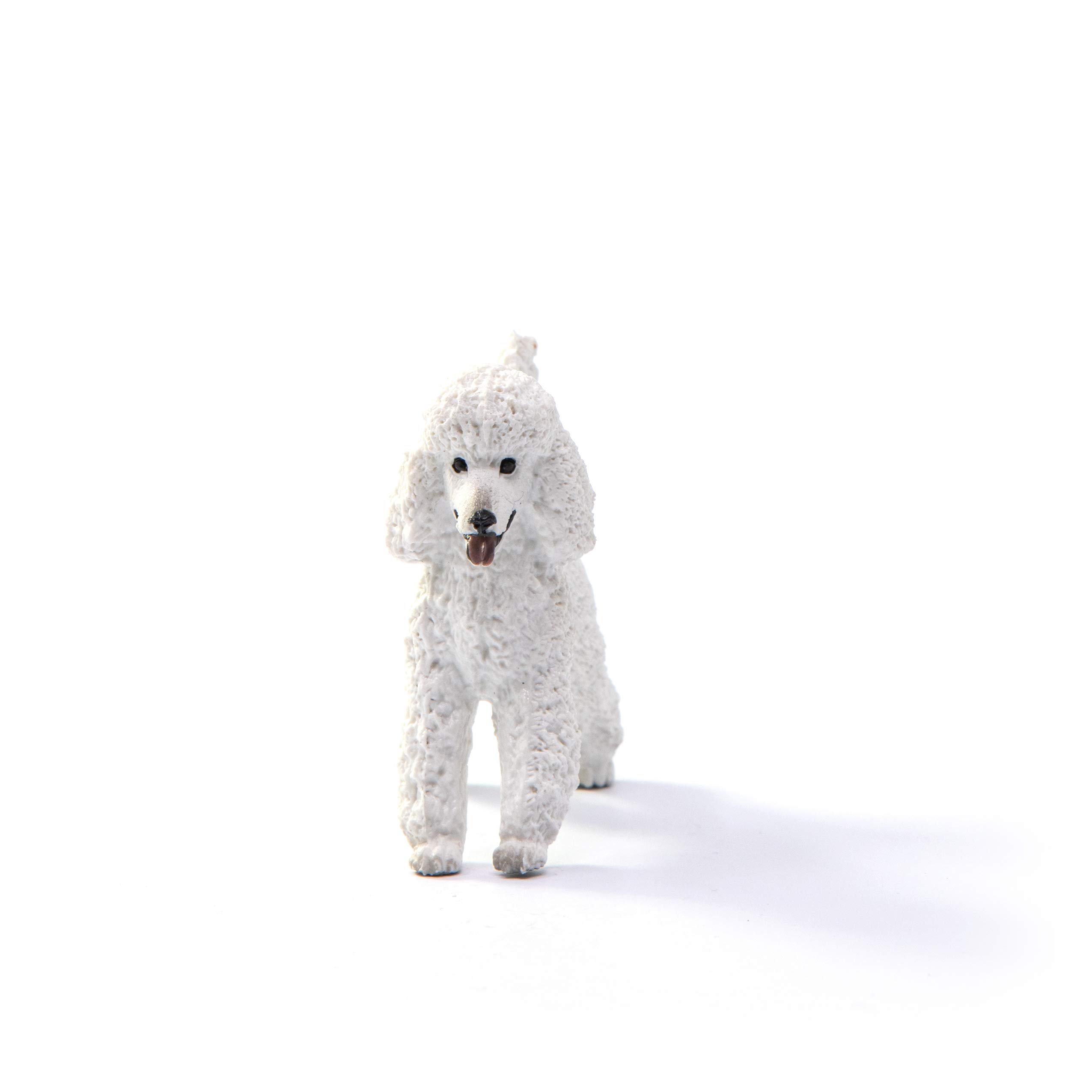 Foto 4 pulgar | Figura De Juguete Schleich Farm World Poodle Para Niños Mayores De 3 Años - Venta Internacional.