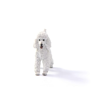 Foto 3 | Figura De Juguete Schleich Farm World Poodle Para Niños Mayores De 3 Años - Venta Internacional.