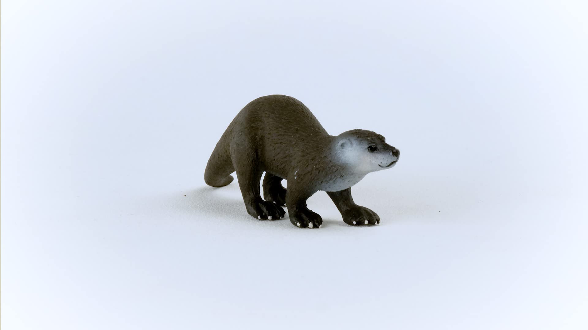 Foto 7 pulgar | Toy Schleich Wild Life New 2023 Marine Ocean Otter Kids 3+ - Venta Internacional.