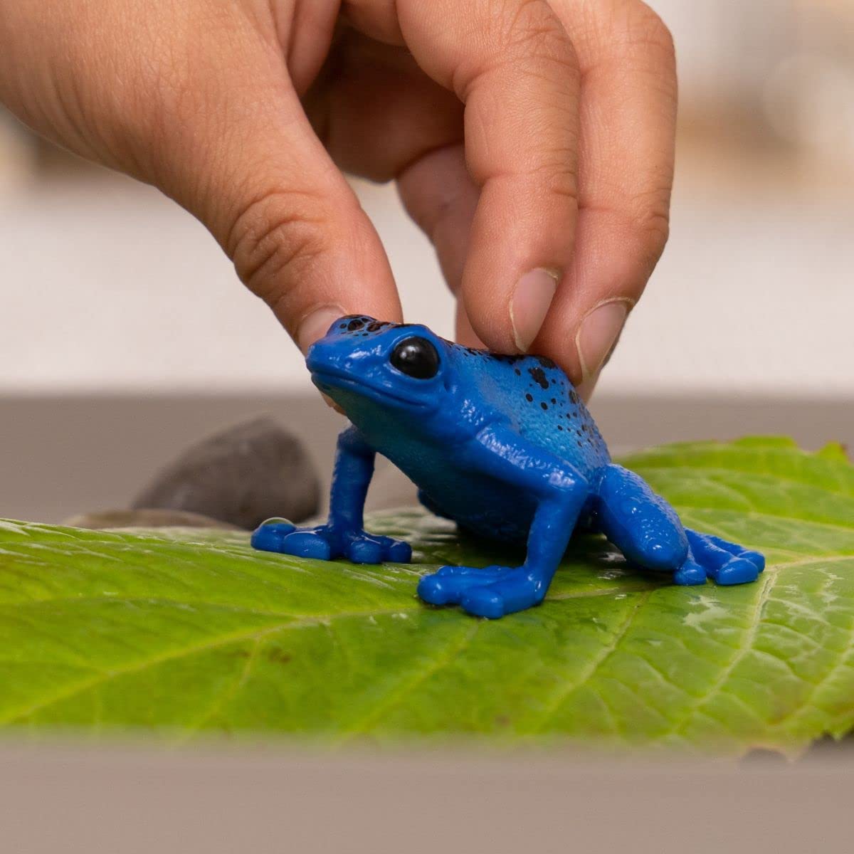 Foto 3 pulgar | Toy Schleich Wild Life Wild Animal Rainforest Jungle Kids 3+ - Venta Internacional.