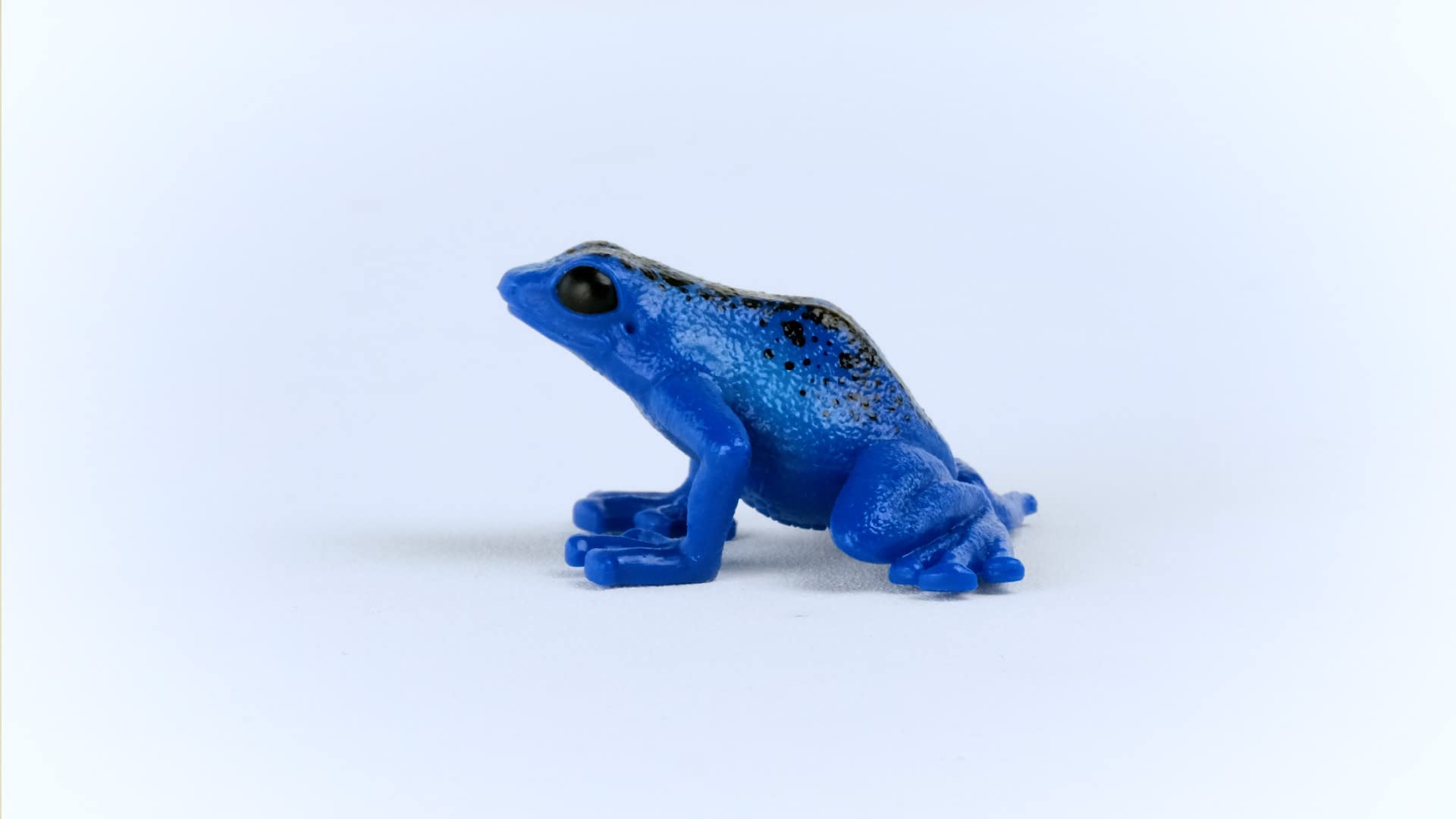Foto 5 pulgar | Toy Schleich Wild Life Wild Animal Rainforest Jungle Kids 3+ - Venta Internacional.