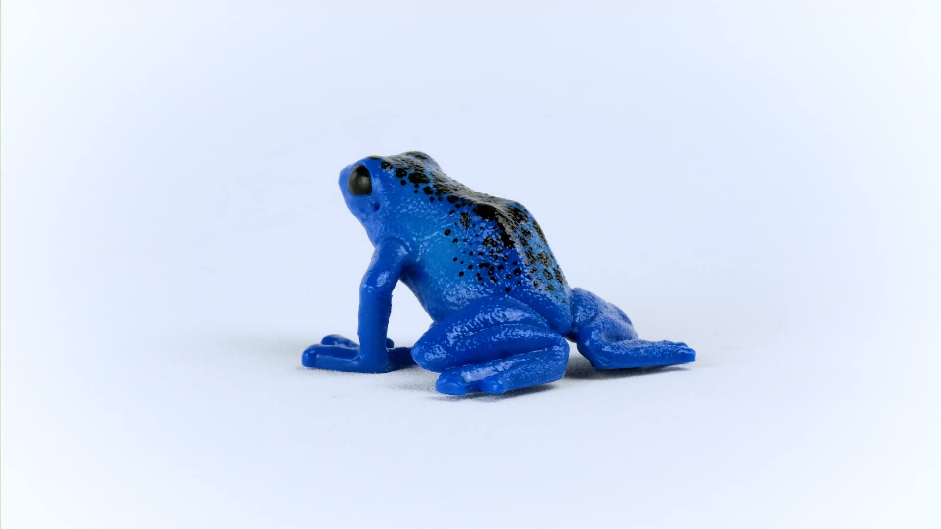 Foto 6 pulgar | Toy Schleich Wild Life Wild Animal Rainforest Jungle Kids 3+ - Venta Internacional.