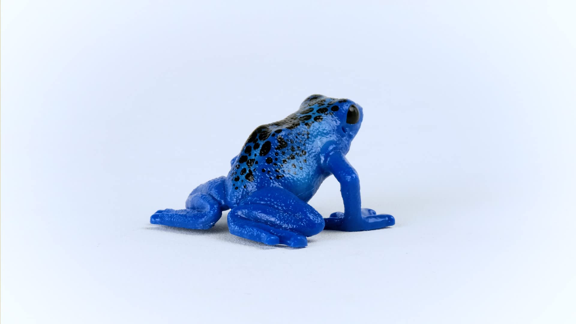 Foto 7 pulgar | Toy Schleich Wild Life Wild Animal Rainforest Jungle Kids 3+ - Venta Internacional.