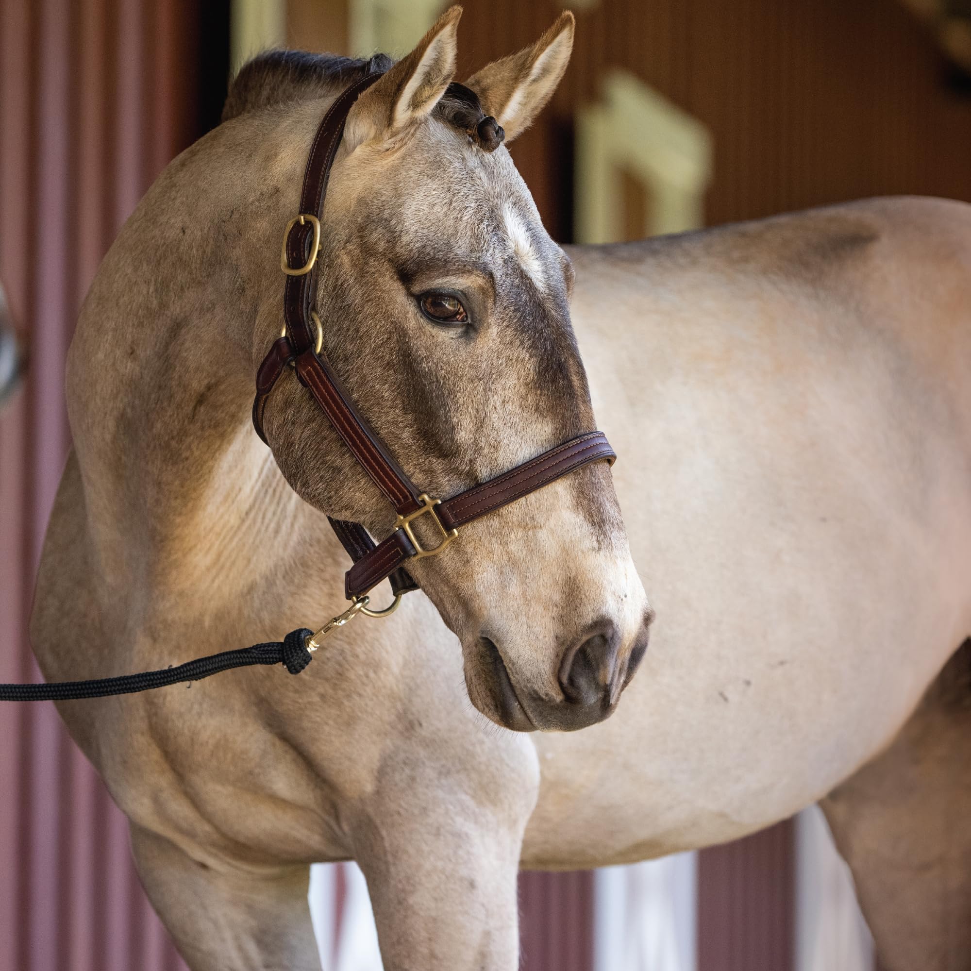 Foto 4 pulgar | Figura Breyer Horses Traditional Series Cossaco Lusitano - Venta Internacional.