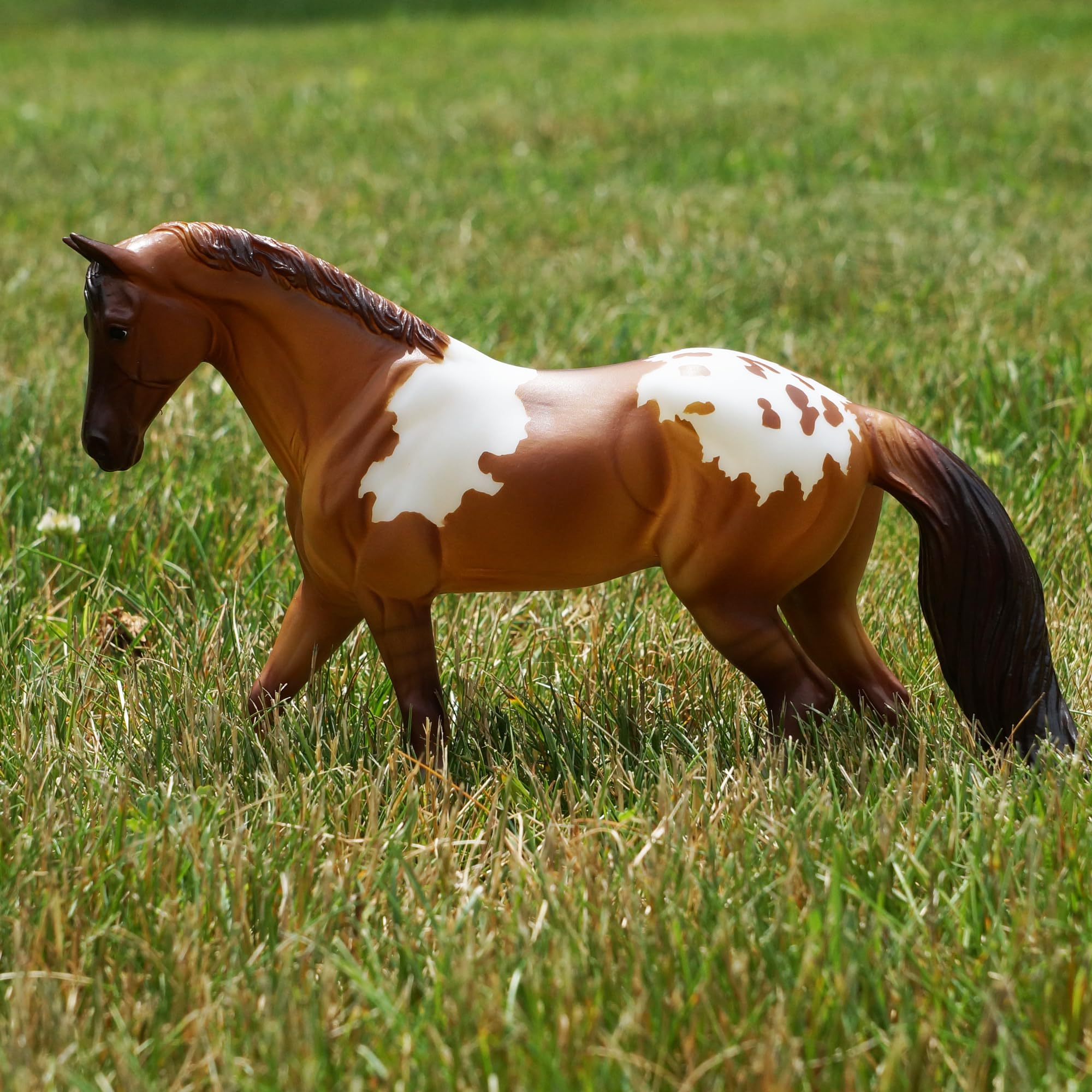 Foto 5 pulgar | Juguete Para Caballos Breyer Horses Freedom Series Red Dun Pintaloosa - Venta Internacional.