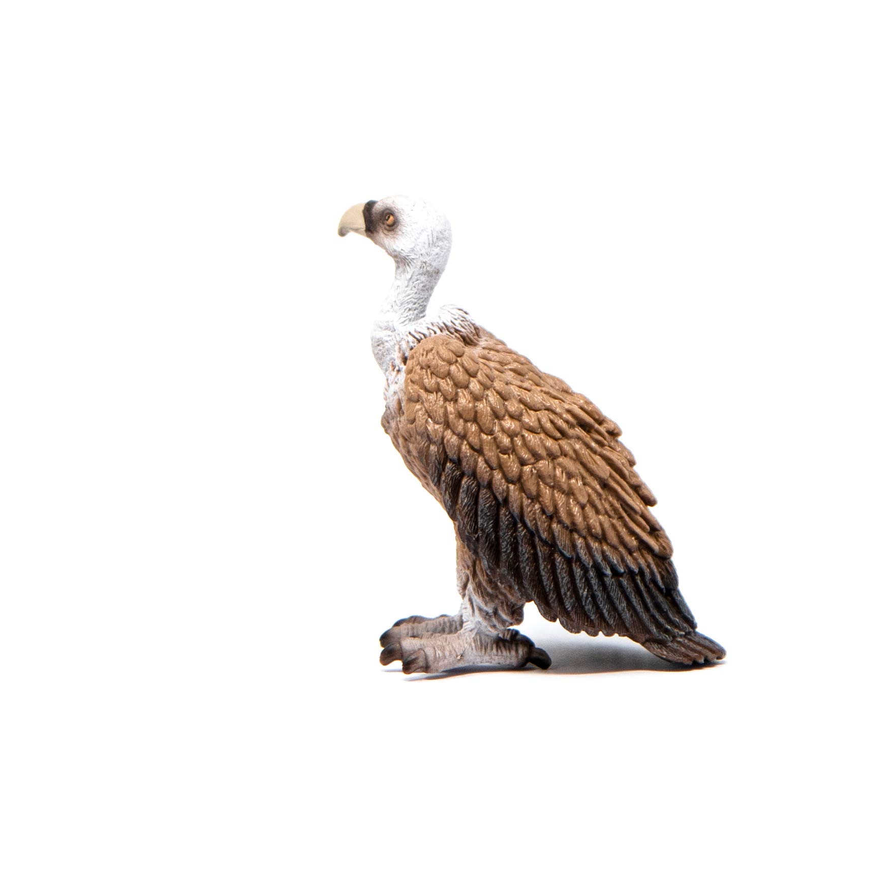 Foto 5 pulgar | Figura Animal Schleich Wild Life Vulture Para Niños De 3 A 8 Años - Venta Internacional.