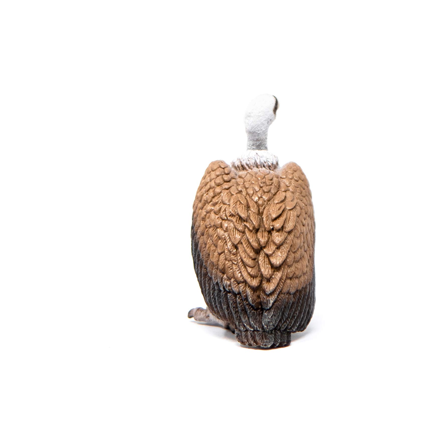 Foto 6 | Figura Animal Schleich Wild Life Vulture Para Niños De 3 A 8 Años - Venta Internacional.