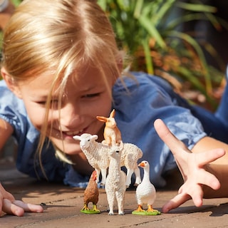 Foto 3 | Set De Juguetes Farm Animal Schleich Farm World De 5 Piezas Para Niños A Partir De 3 Años - Venta Internacional.