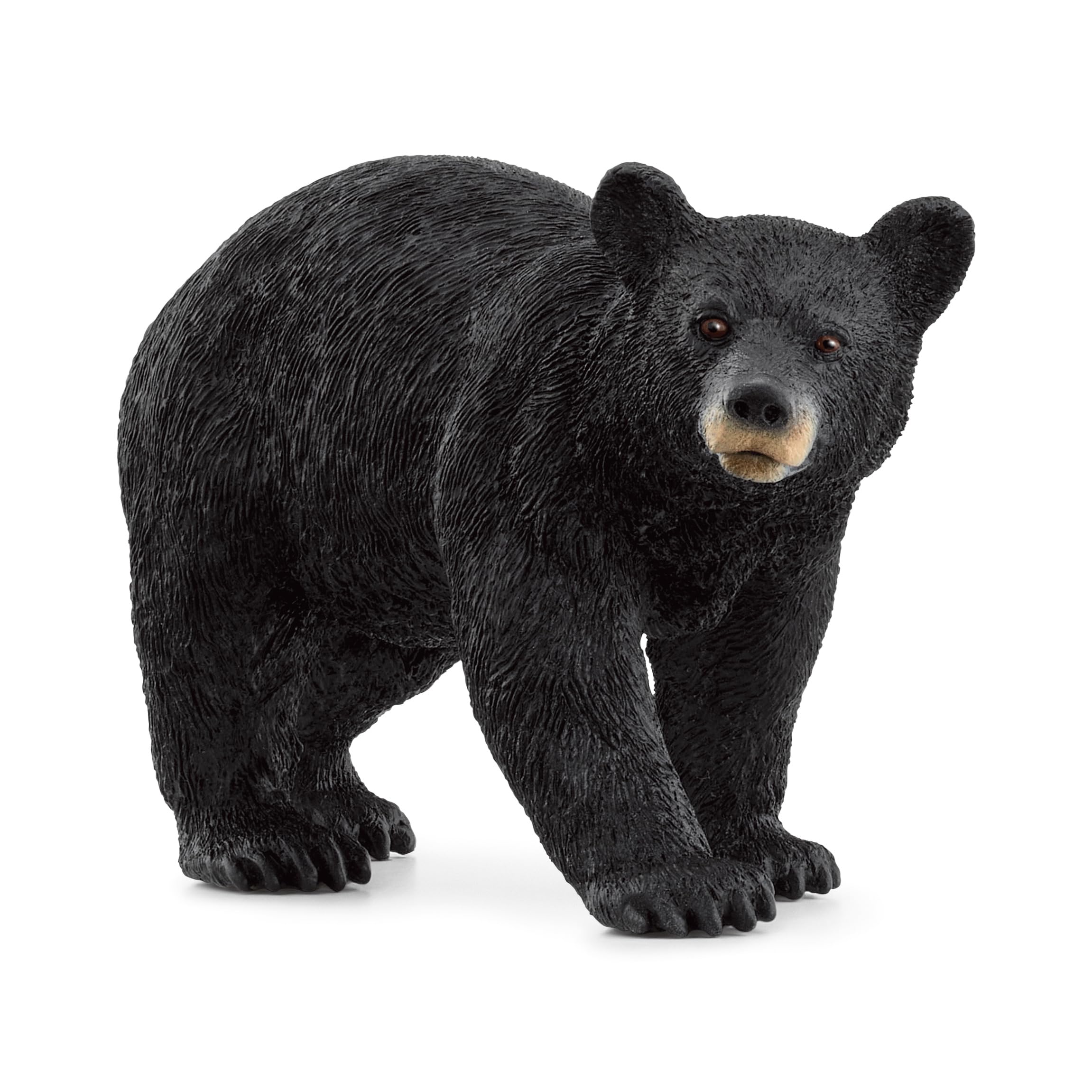 Figura De Juguete Schleich Wild Life New 2024 American Black Bear - Venta Internacional.