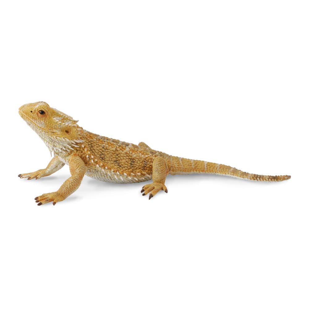 Figura De Juguete Collectoun Dragón Barbudo, Lagarto, Modelo Auténtico De 4 Cm - Venta Internacional.