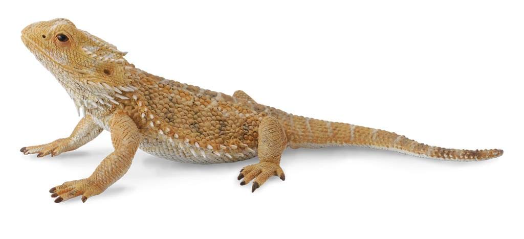 Foto 4 pulgar | Figura De Juguete Collectoun Dragón Barbudo, Lagarto, Modelo Auténtico De 4 Cm - Venta Internacional.