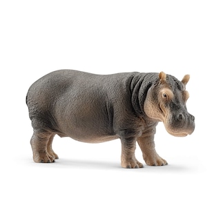 Foto 1 | Figura Schleich Wild Life De Hipopótamo Realista Con Detalles - Venta Internacional.