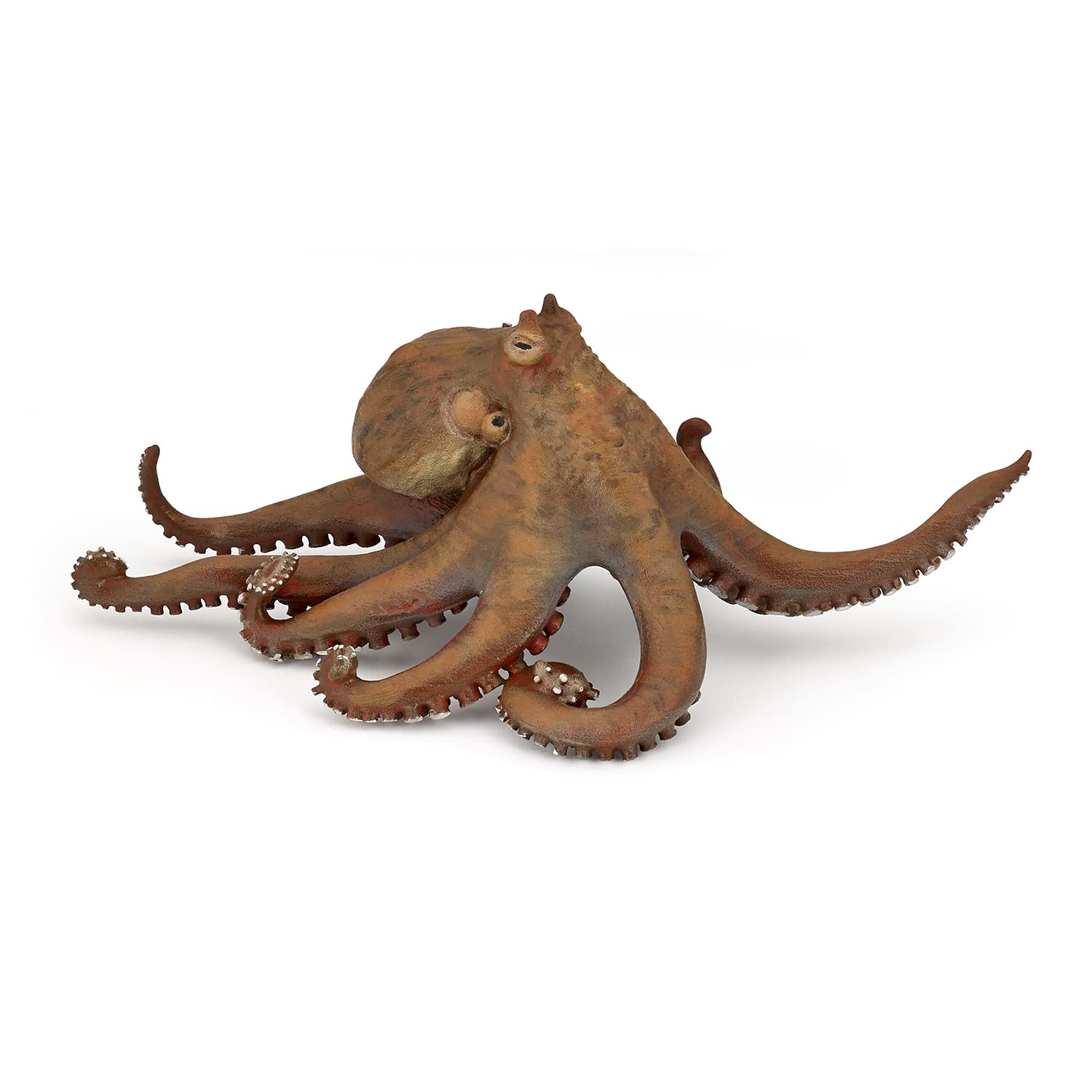 Foto 2 pulgar | Figura Papo Marine Life Octopus 56013 Para Niños A Partir De 3 Años - Venta Internacional.