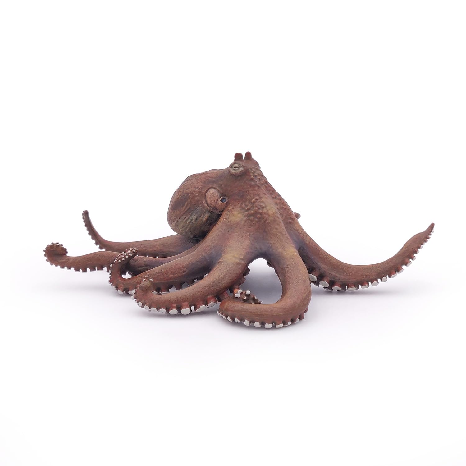 Foto 4 pulgar | Figura Papo Marine Life Octopus 56013 Para Niños A Partir De 3 Años - Venta Internacional.