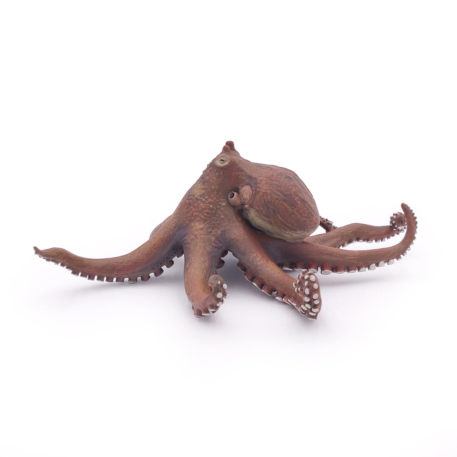 Foto 6 pulgar | Figura Papo Marine Life Octopus 56013 Para Niños A Partir De 3 Años - Venta Internacional.