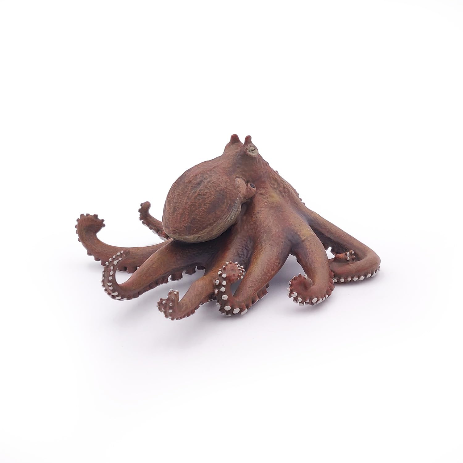 Foto 7 pulgar | Figura Papo Marine Life Octopus 56013 Para Niños A Partir De 3 Años - Venta Internacional.