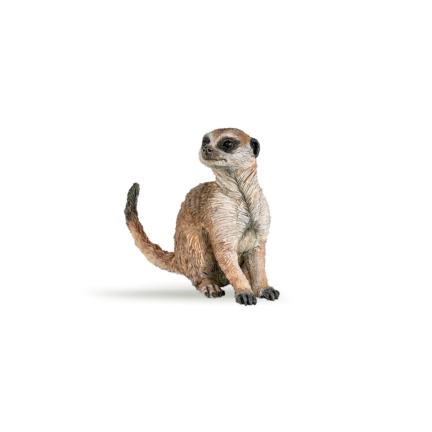 Figura Papo Wild Animal Kingdom, Suricata Sentada 50207 Para Niños A Partir De 3 Años - Venta Internacional.