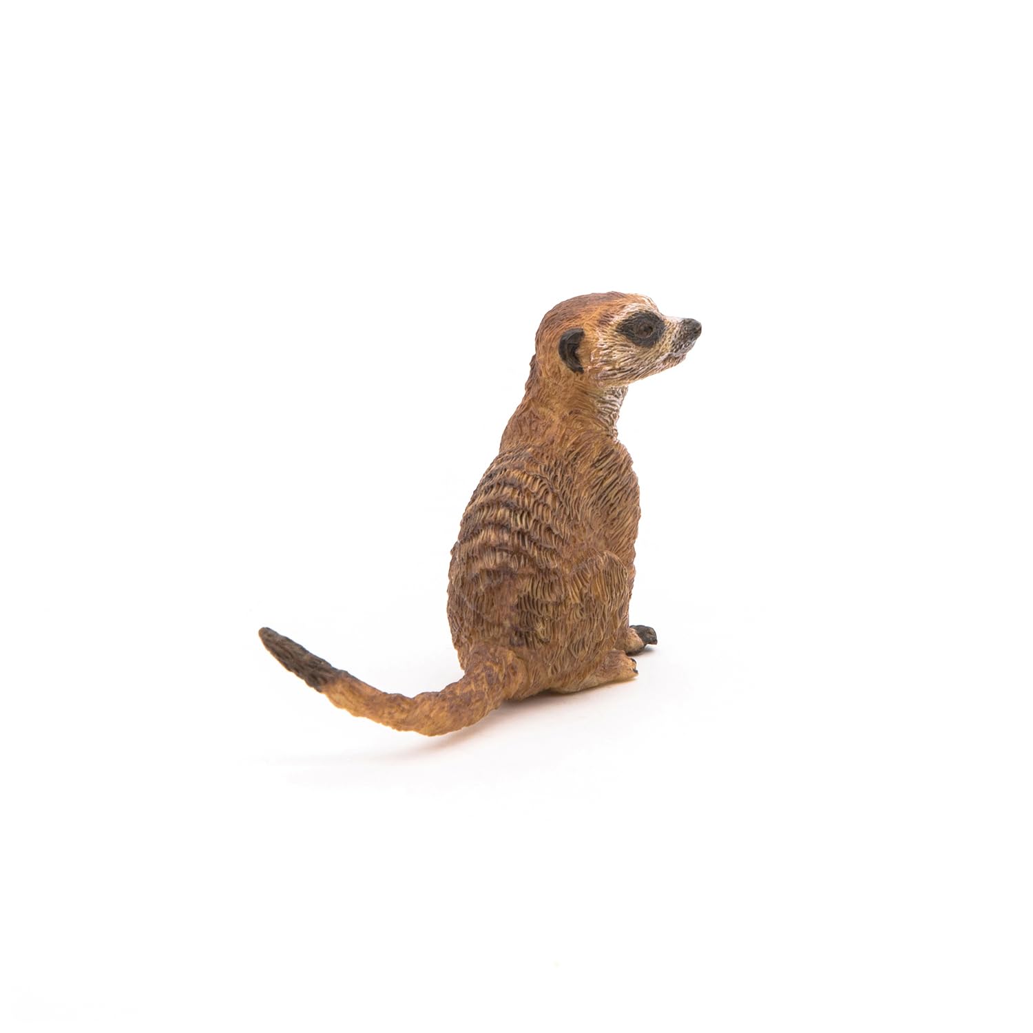 Foto 4 pulgar | Figura Papo Wild Animal Kingdom, Suricata Sentada 50207 Para Niños A Partir De 3 Años - Venta Internacional.