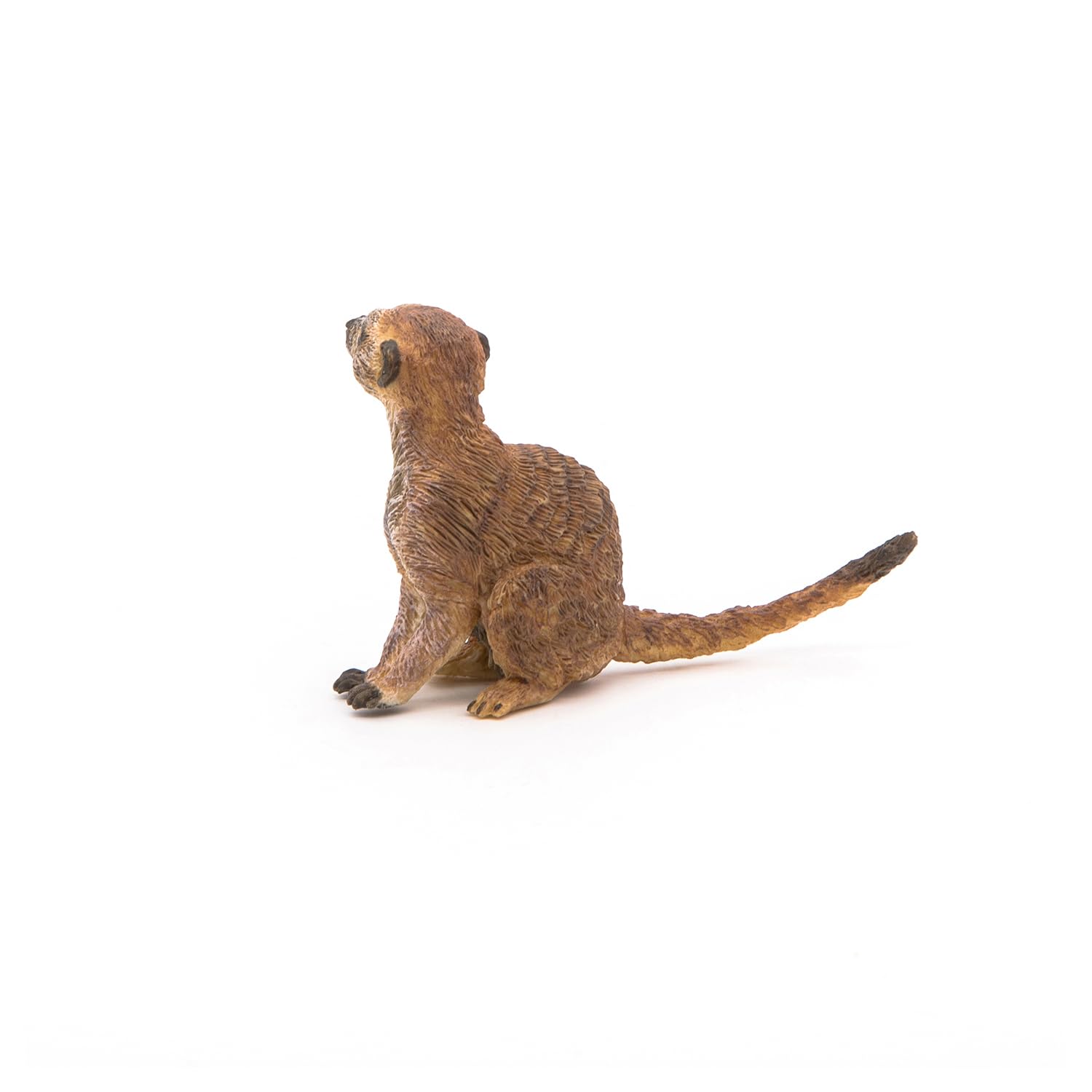Foto 6 pulgar | Figura Papo Wild Animal Kingdom, Suricata Sentada 50207 Para Niños A Partir De 3 Años - Venta Internacional.