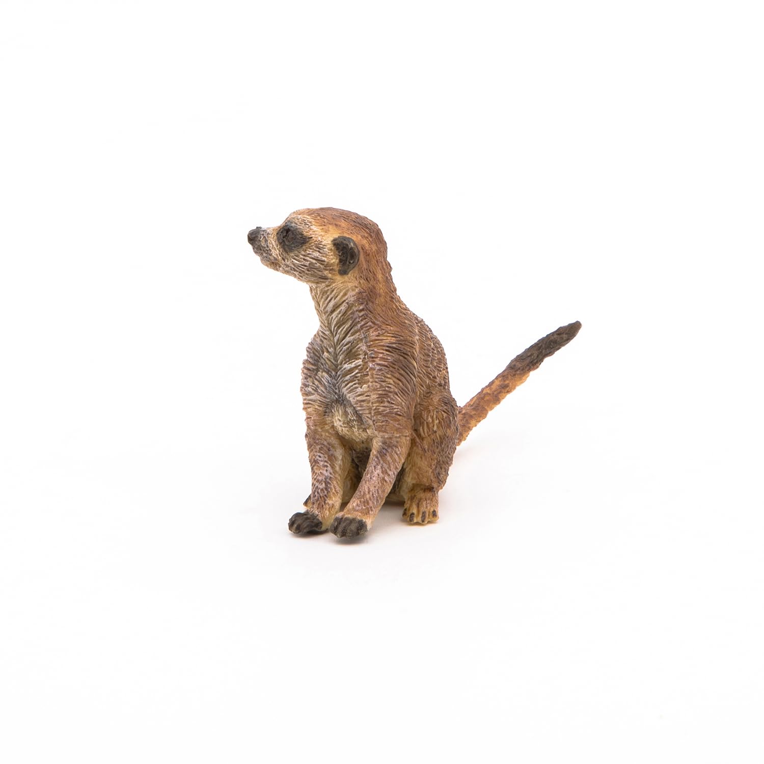 Foto 7 pulgar | Figura Papo Wild Animal Kingdom, Suricata Sentada 50207 Para Niños A Partir De 3 Años - Venta Internacional.