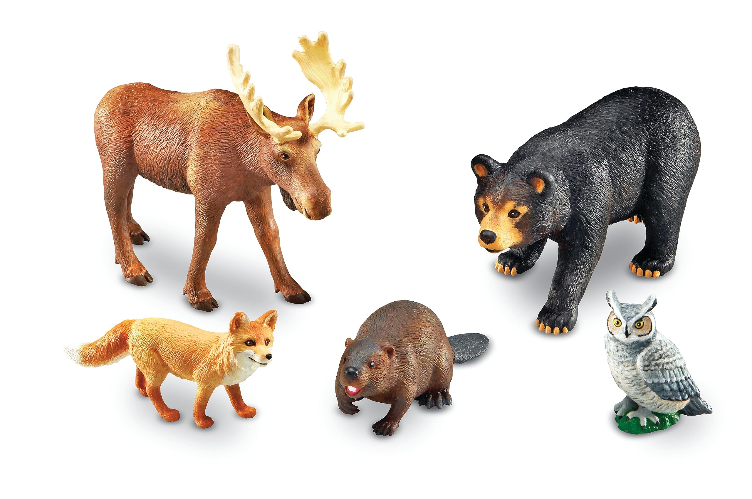 Foto 7 pulgar | Recursos De Aprendizaje De Animales De Juego Simulado Jumbo Forest Durante Más De 3 Años - Venta Internacional.
