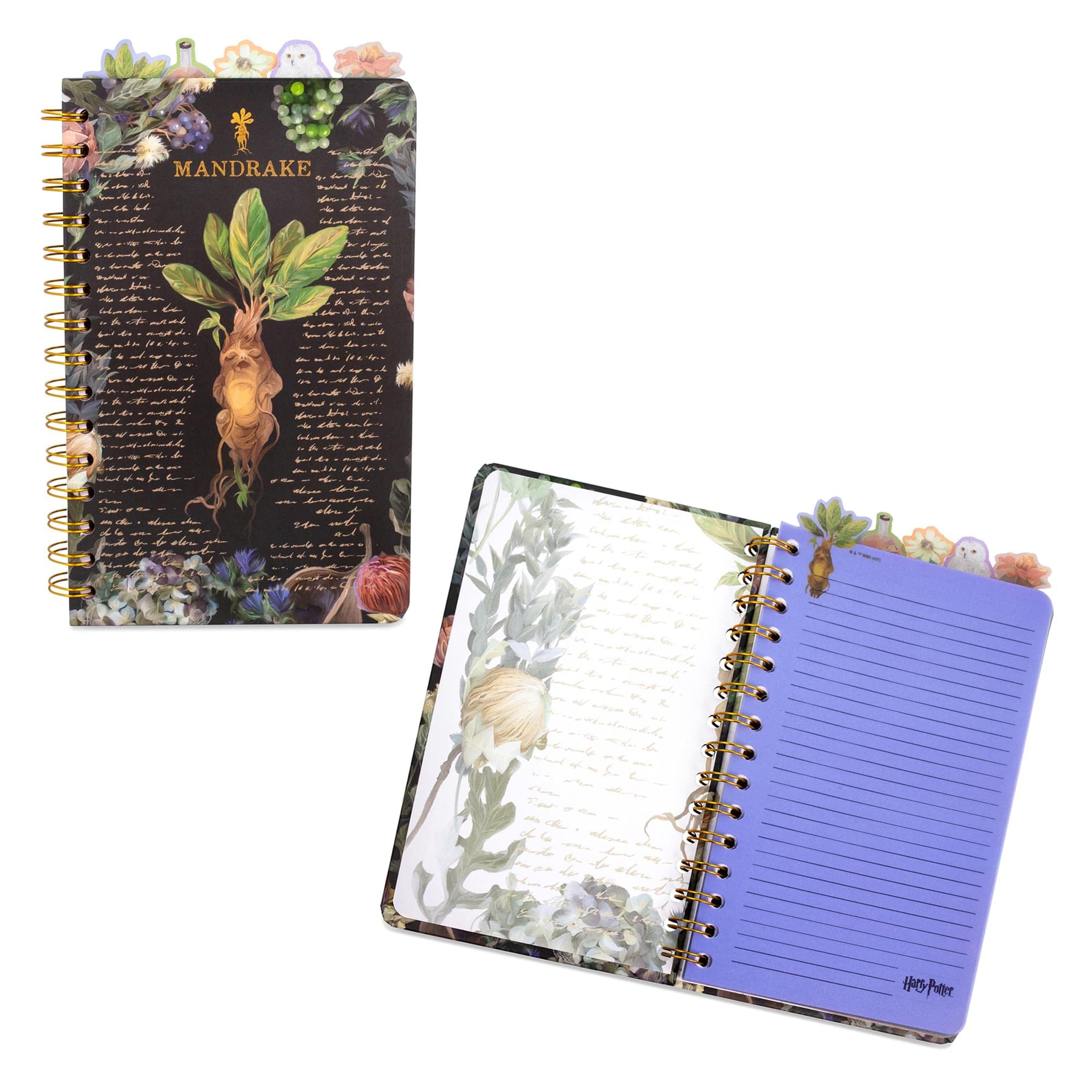 Foto 1 | Cuaderno Espiral Plateado Buffalo Harry Potter Mandrake Floral - Venta Internacional.