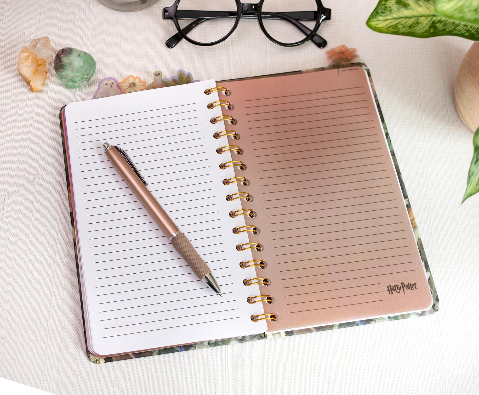 Foto 3 | Cuaderno Espiral Plateado Buffalo Harry Potter Mandrake Floral - Venta Internacional.