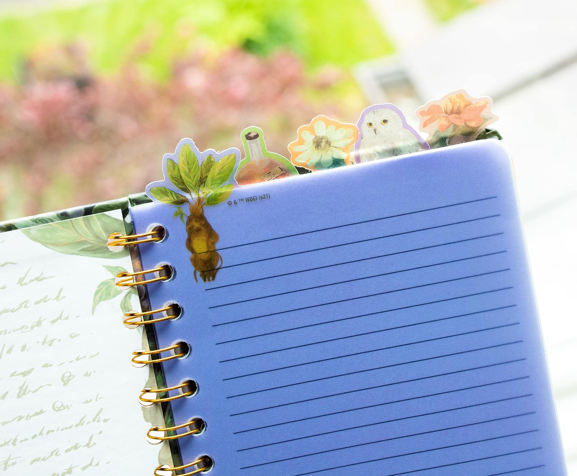 Foto 5 pulgar | Cuaderno Espiral Plateado Buffalo Harry Potter Mandrake Floral - Venta Internacional.