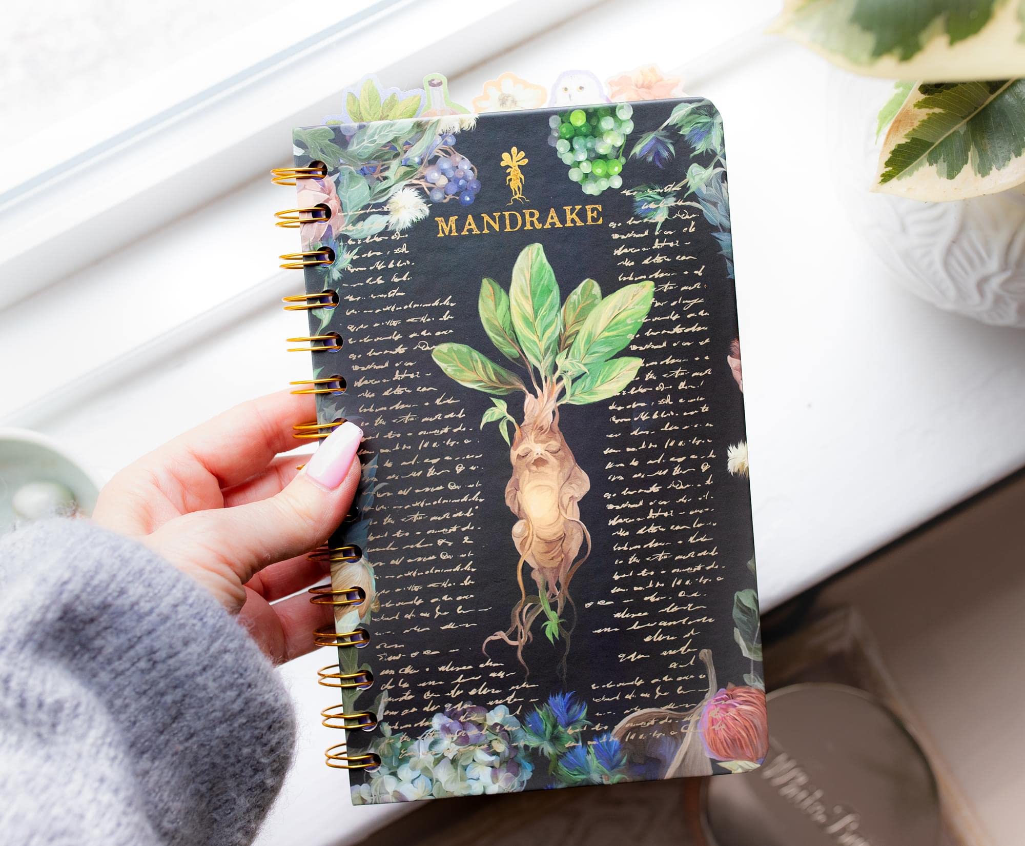 Foto 6 pulgar | Cuaderno Espiral Plateado Buffalo Harry Potter Mandrake Floral - Venta Internacional.