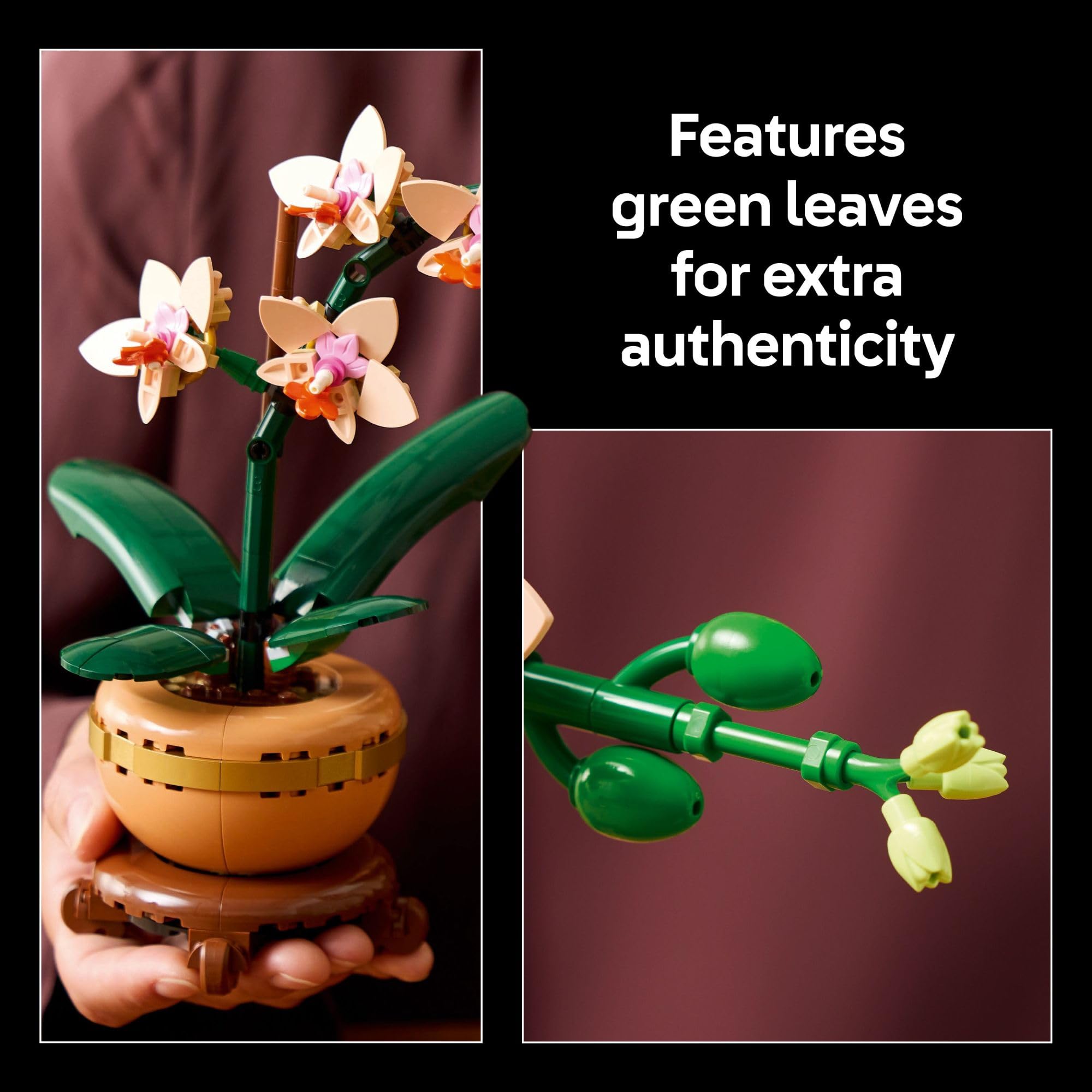 Foto 4 | Set De Construcción Lego Botanicals Mini Orchid Con 274 Piezas - Venta Internacional.