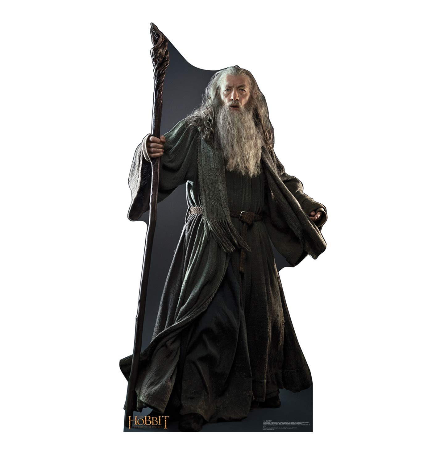 Foto 2 pulgar | Personajes De Cartón Recortados De Cartón Vertical Gandalf El Hobbit - Venta Internacional.