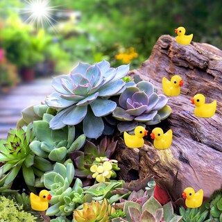 Foto 6 | Minifiguras De Pato Louhua, Paquete De 220 Unidades, Para Decoración De Casas De Muñecas - Venta Internacional.