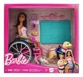 Foto 1 | Barbie Silla De Ruedas Con Perro De Servicio Hjy85 Mattel Cf