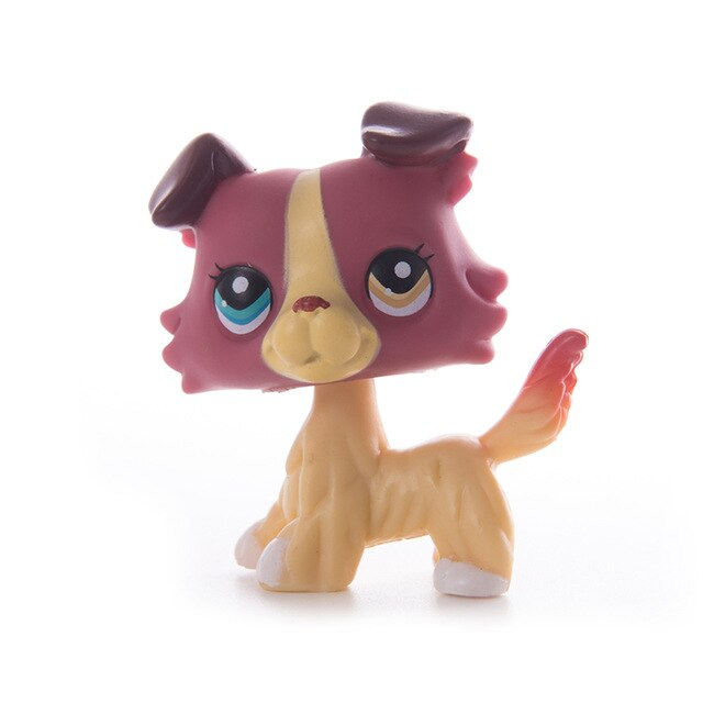 Foto 5 | Gatito De Pelo Corto Lps Collie Dachshund - Venta Internacional.