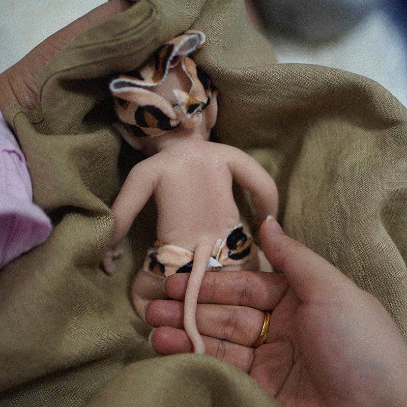 Foto 3 pulgar | Muñeca Reborn Myrebaby Minielfa de Silicona Realista de 7 Pulgadas - Venta Internacional