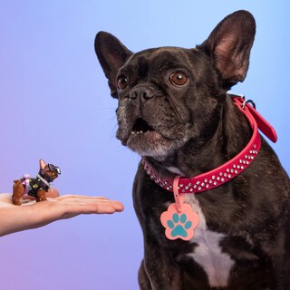 Foto 5 | Trasportín Coleccionable para Microcachorros con 1 Microcachorro y 5 Sorpresas - Venta Internacional