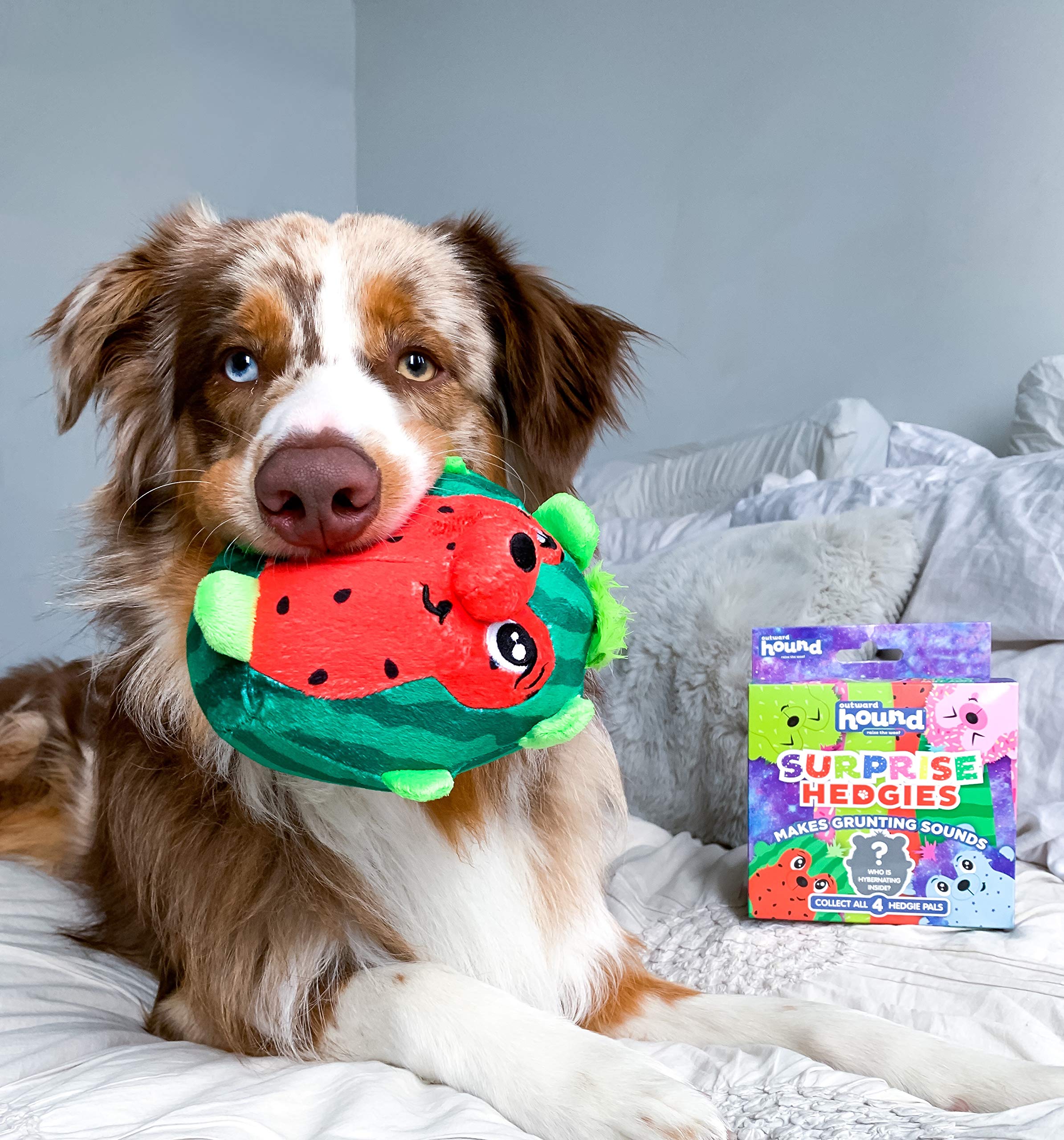 Foto 8 pulgar | Juguetes Para Perros Outward Hound Surprise Hedgies Grunting X3 - Venta Internacional.