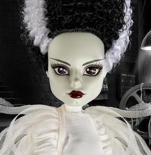 Foto 5 | Set de Muñecas Monster High Frankenstein & Bride 27cm Hdw25 - Venta Internacional